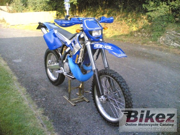 2002 gas gas ec 300 photo